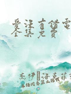 爱没有错电视剧全集免费