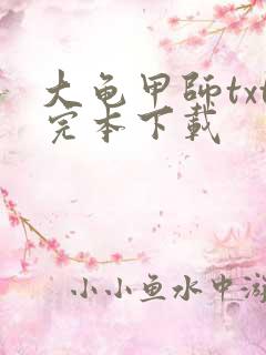 大龟甲师txt完本下载