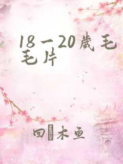 18一20岁毛毛片