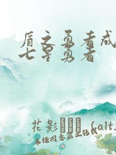 盾之勇者成名录七星勇者