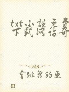 txt小说免费下载网站奇书网