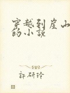 穿越到崖山之战的小说