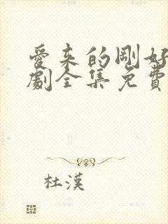 爱来的刚好电视剧全集免费观看