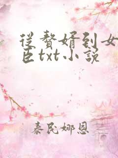 从赘婿到女帝宠臣txt小说