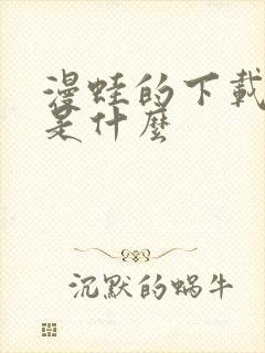 漫蛙的下载链接是什么