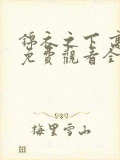 锦衣之下 高清免费观看全集