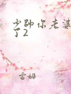 少帅你老婆又跑了2