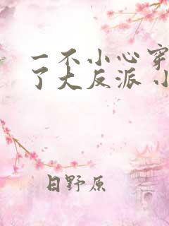 一不小心穿越成了大反派 小说