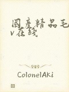 国产精品毛片av在线