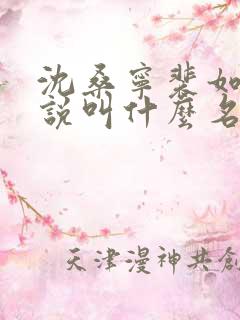 沈桑宁裴如珩小说叫什么名字