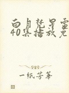 白月梵星电视剧40集播放免费完整版