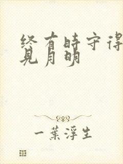 终有时守得云开见月明