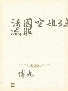 法国空姐3无删减版