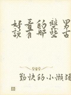 好看的双男主小说有哪些古风