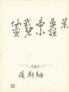 仙武帝尊叶辰楚灵儿小说