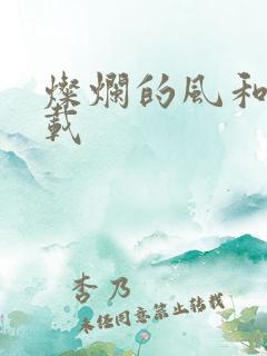 灿烂的风和海下载