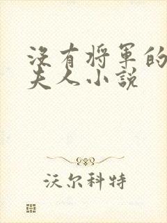 没有将军的将军夫人小说