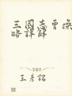 三国志曹操传攻略详解