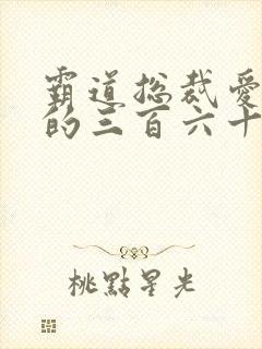 霸道总裁爱上我的三百六十天