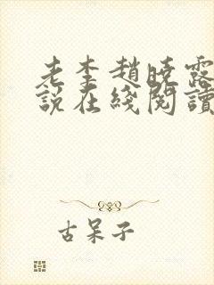 老李赵晓露的小说在线阅读