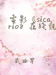 电影《sicario》在线观看