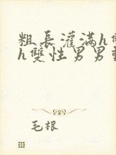 粗长灌满h双龙h双性男男动漫