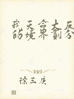 我天命大反派中的境界划分