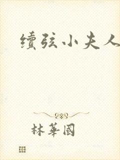 续弦小夫人免费