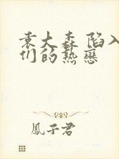 袁大森 陷入我们的热恋