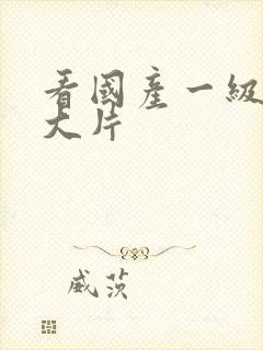 看国产一级特黄大片