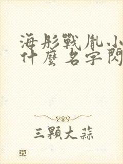 海彤战胤小说叫什么名字闪婚成宠