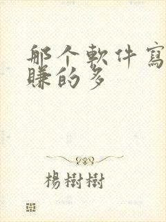 那个软件写小说赚的多