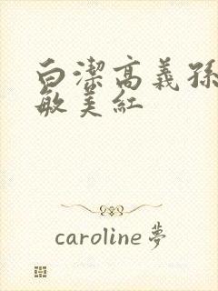 白洁高义孙倩张敏美红