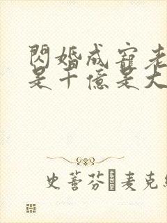 闪婚成宠老公竟是千亿是大佬