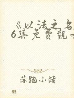 《以法之名》36集免费观看全集