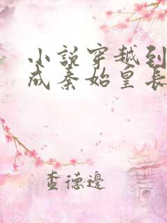 小说穿越到秦朝成秦始皇长子