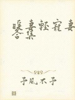 暖妻轻宠妻短剧合集