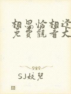 相思恰相逢短剧免费观看大结局