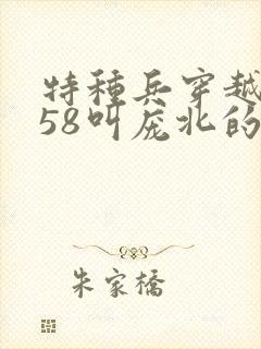 特种兵穿越1958叫庞北的小说