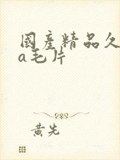 国产精品久久久a毛片