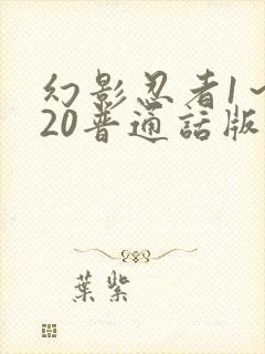 幻影忍者1～720普通话版