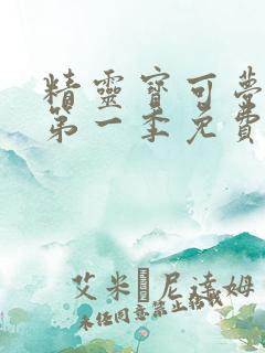 精灵宝可梦动漫第一季免费观看