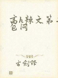 高h辣文第二书包网