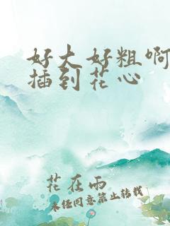 好大好粗啊啊啊插到花心