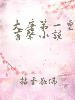 大唐第一皇太子有声小说