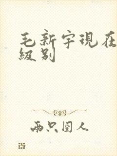 毛新宇现在什么级别