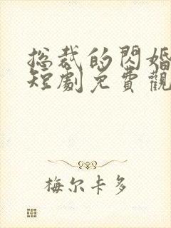 总裁的闪婚甜妻短剧免费观看