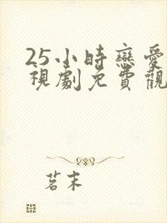 25小时恋爱电视剧免费观看