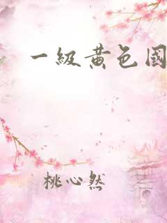 一级黄色国大片