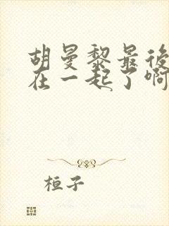 胡曼黎最后和谁在一起了啊